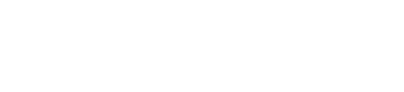ApiGroup Logo